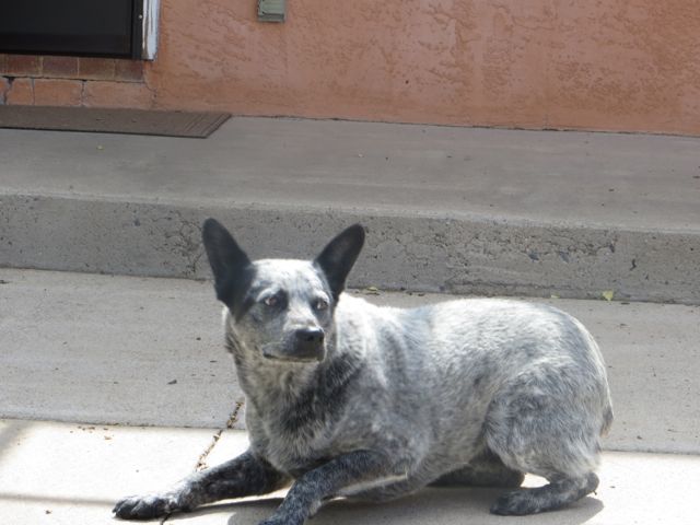 May 23rd – Santa Fe, NM – Historic Mining Town of Madrid