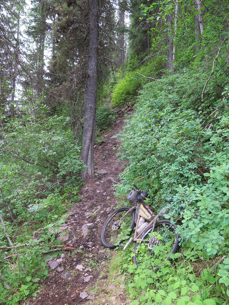 Two Wheels, a Tent and Half a Brain – post #16 Special Post – The&nbsp;Connector